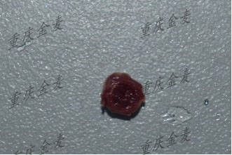 心肌缺血再灌注损伤模型4.jpg