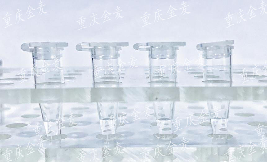 蛋白提取（浆蛋白、核蛋白、膜蛋白）2.jpg