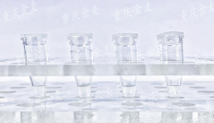 蛋白提取（浆蛋白、核蛋白、膜蛋白）3.jpg