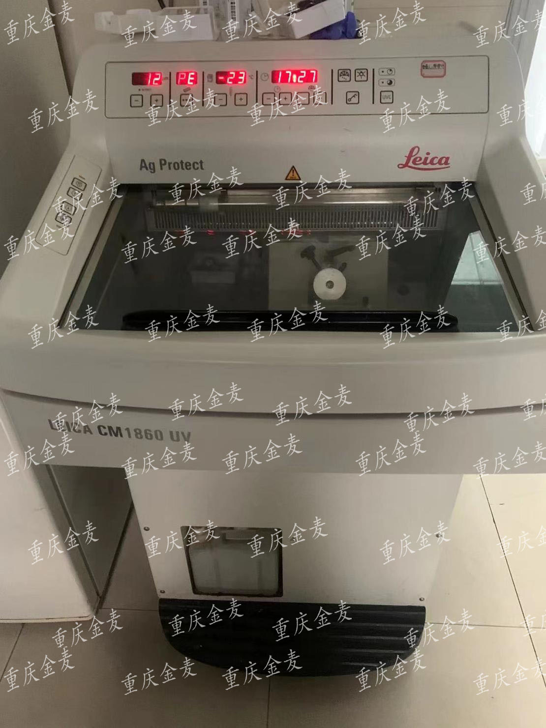 组织切片