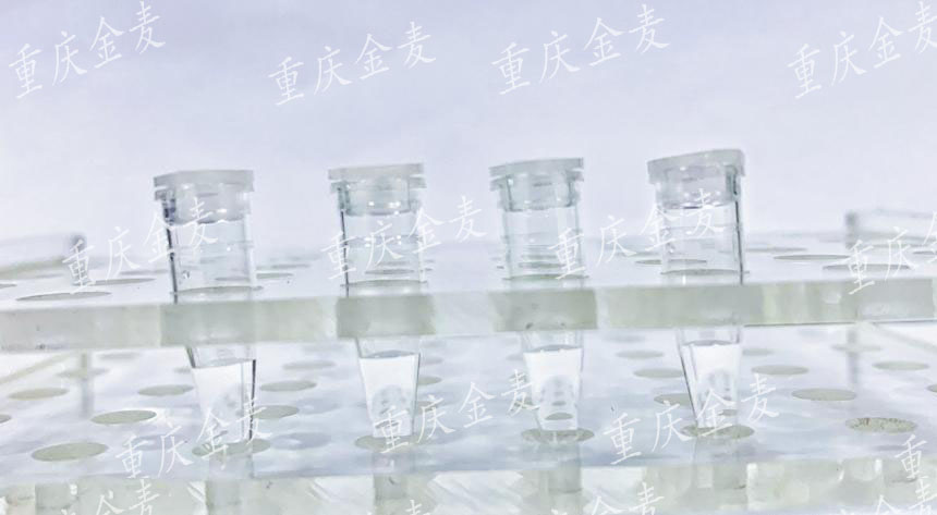 蛋白提取（浆蛋白、核蛋白、膜蛋白）