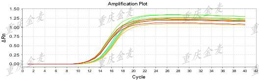荧光定量PCR