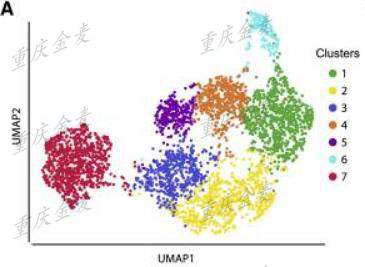 单细胞ATAC-seq