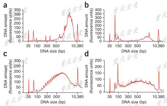 单细胞SMART-seq